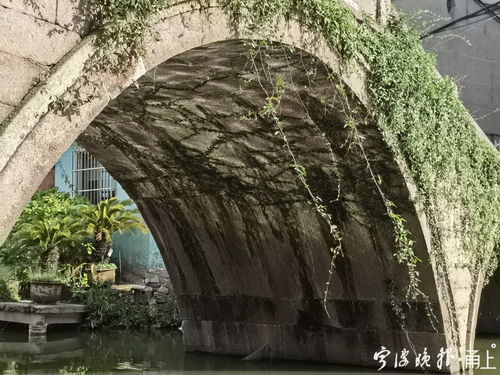 竹籬瓦舍 定橋村里的千年古橋